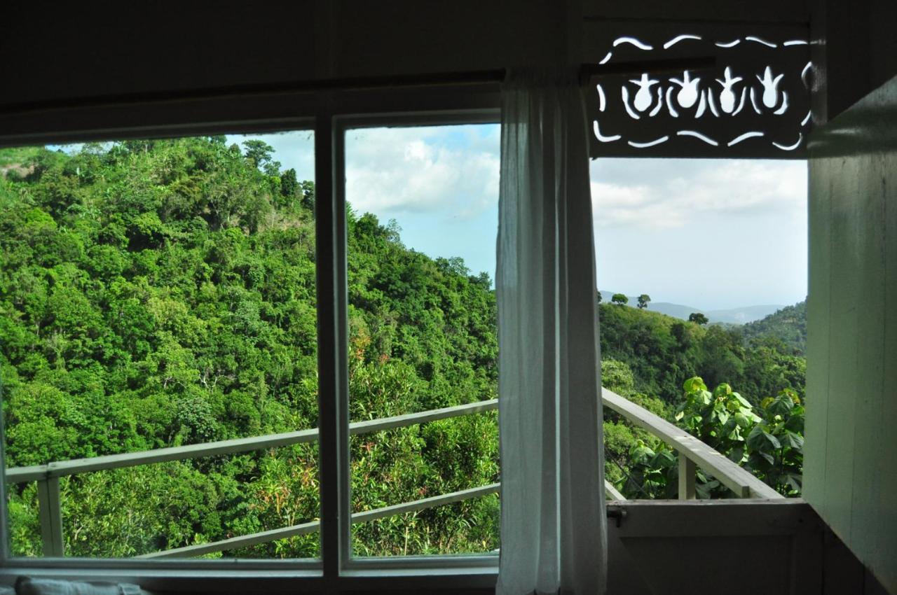 Mount Edge Guest House Port Antonio Exterior photo
