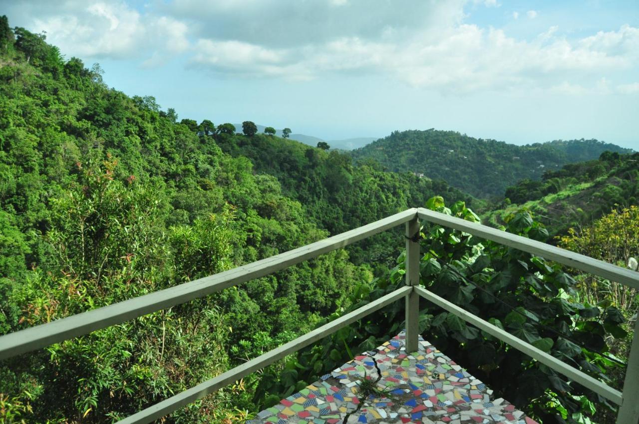 Mount Edge Guest House Port Antonio Exterior photo